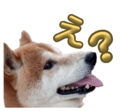 845885882