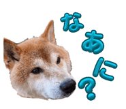 845885883