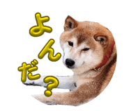 845885884