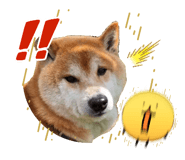 845885886