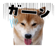 845885888