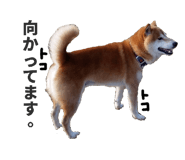 845885896