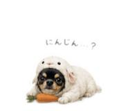 845885989