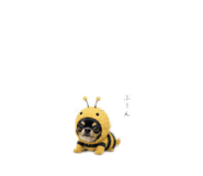 845885995
