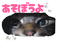 845886029