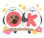 845886100