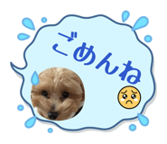 845886103