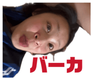 845886457