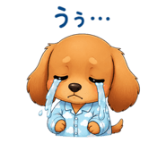 845886494