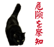 845886672