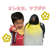 845886738