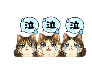 845886869