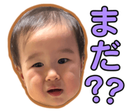 845886900