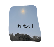 845886985