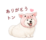 845887011