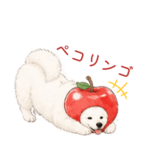 845887012
