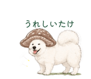 845887014