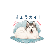 845887017