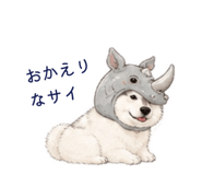 845887021