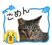 845887039
