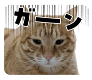845887051