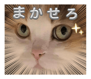 845887185