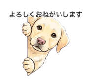 845887710