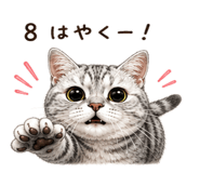 845890936