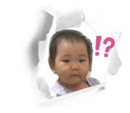845905586