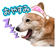 845905820