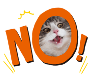 845906482