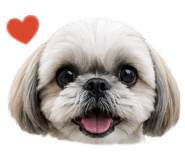 845906816