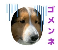 845907170