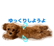 845907186