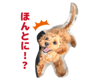 845907188