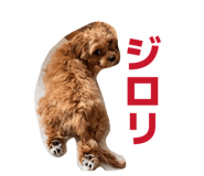 845907192