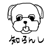 845907237