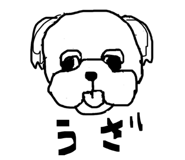 845907243