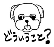 845907249