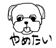 845907252