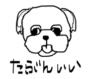845907253