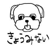 845907261