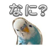 845907316