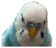 845907317