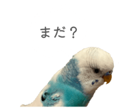 845907319