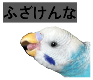 845907322