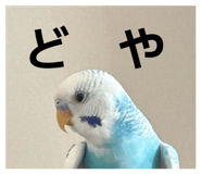 845907323