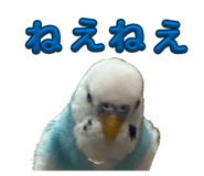 845907328