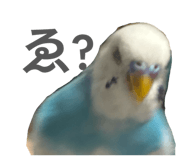 845907331