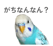 845907334